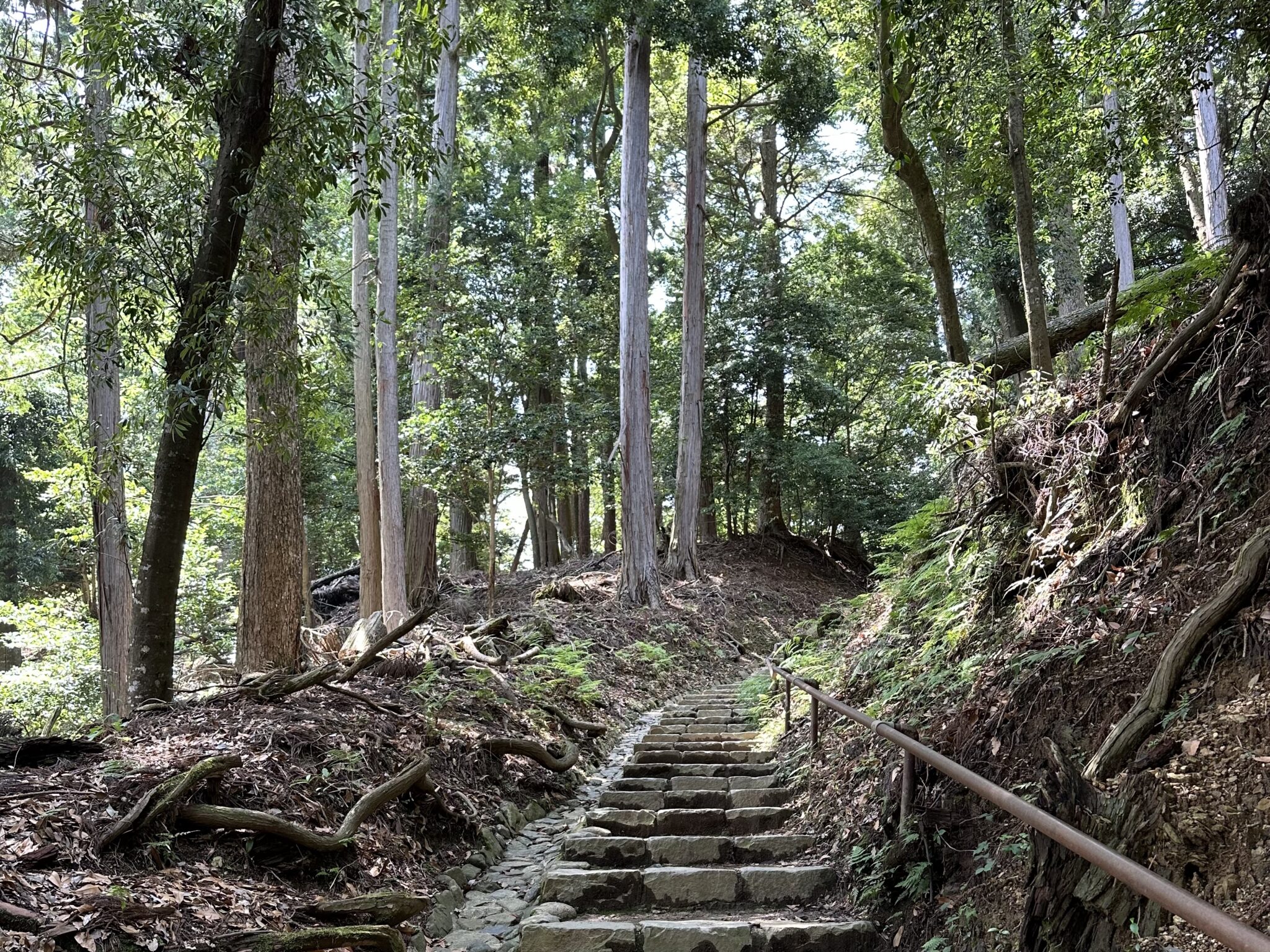 鞍馬山から貴船神社までハイキングするのにかかる時間と難易度、実際の山道をご紹介します